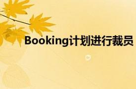 Booking计划进行裁员，以释放资源并进行再投资