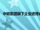 中铝集团旗下企业进博会期间签约金额较上年增长15.8%