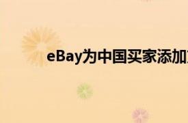 eBay为中国买家添加支付宝作为便捷支付选项