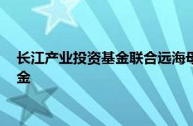 长江产业投资基金联合远海母基金共同设立100亿元绿水零碳基金