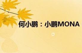 何小鹏：小鹏MONA 03正式开放官方改色服务