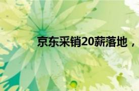 京东采销20薪落地，2025届校招也开出20薪