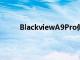 BlackviewA9Pro似乎正在抓取相当不错的照片