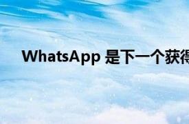 WhatsApp 是下一个获得主题图标的第 3 方应用程序