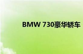 BMW 730豪华轿车：性能与设计的完美结合