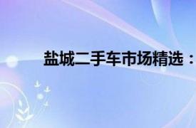 盐城二手车市场精选：品质之选，轻松购得好车