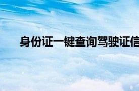 身份证一键查询驾驶证信息，轻松掌握驾驶资格状态