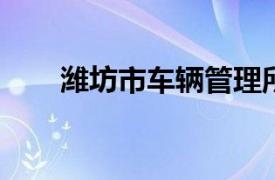 潍坊市车辆管理所官网服务窗口指南