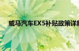 威马汽车EX5补贴政策详解：购车优惠与政策支持一览