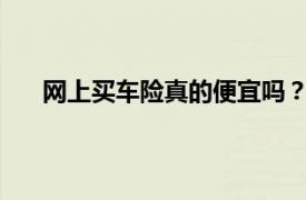 网上买车险真的便宜吗？全面解析车险网购的优缺点