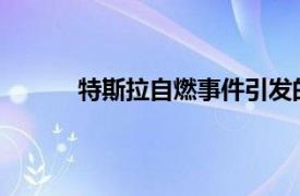 特斯拉自燃事件引发的赔偿风波及其后续进展