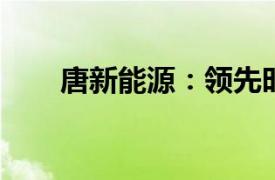 唐新能源：领先时代的绿色动力先锋