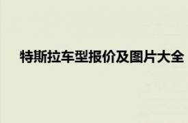 特斯拉车型报价及图片大全：了解最新价格，选择理想车型