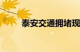 泰安交通拥堵现状分析与解决策略