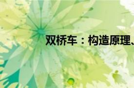 双桥车：构造原理、优势及应用领域探讨