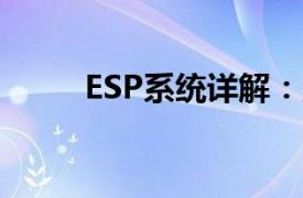 ESP系统详解：定义、功能与应用