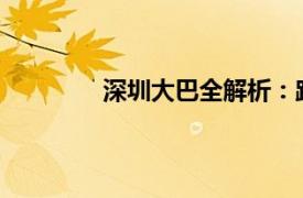 深圳大巴全解析：路线、设施与服务一览